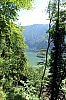 IMG_3781.JPG